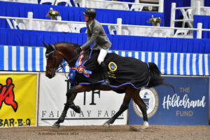 Nicolas Gamboa is Victorious Again at Pin Oak Charity Horse Show