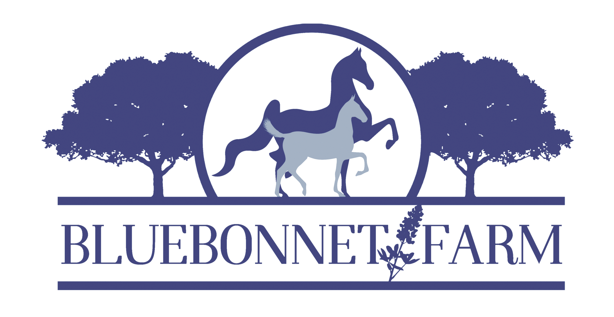 Blue Bonnett Farm