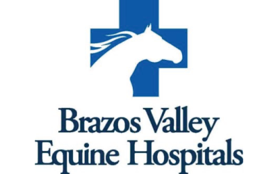 Brazos Valley