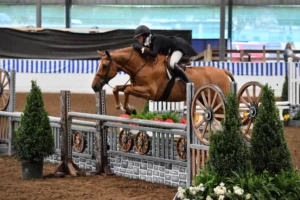 Nada Wise and Chesterfield Capture $30,000 USHJA International Hunter Derby Win at Pin Oak Charity Horse Show